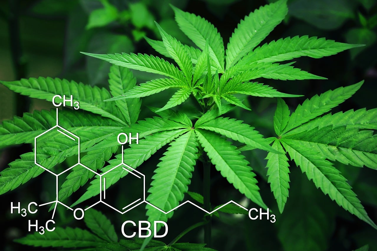 מהן ההשפעות של שמן CBD?