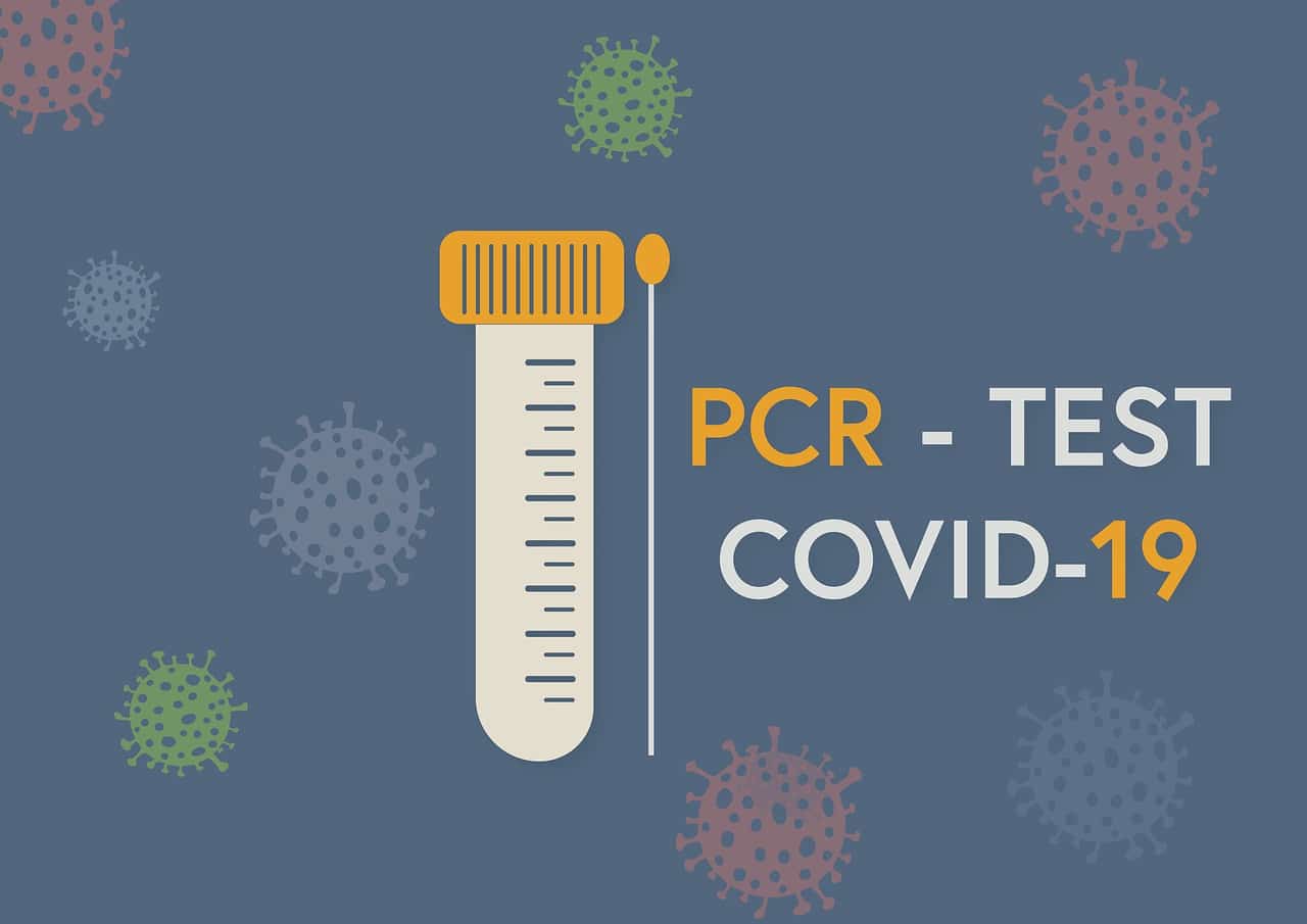 האם בדיקת PCR לפני טיסה עדיין נחוצה?